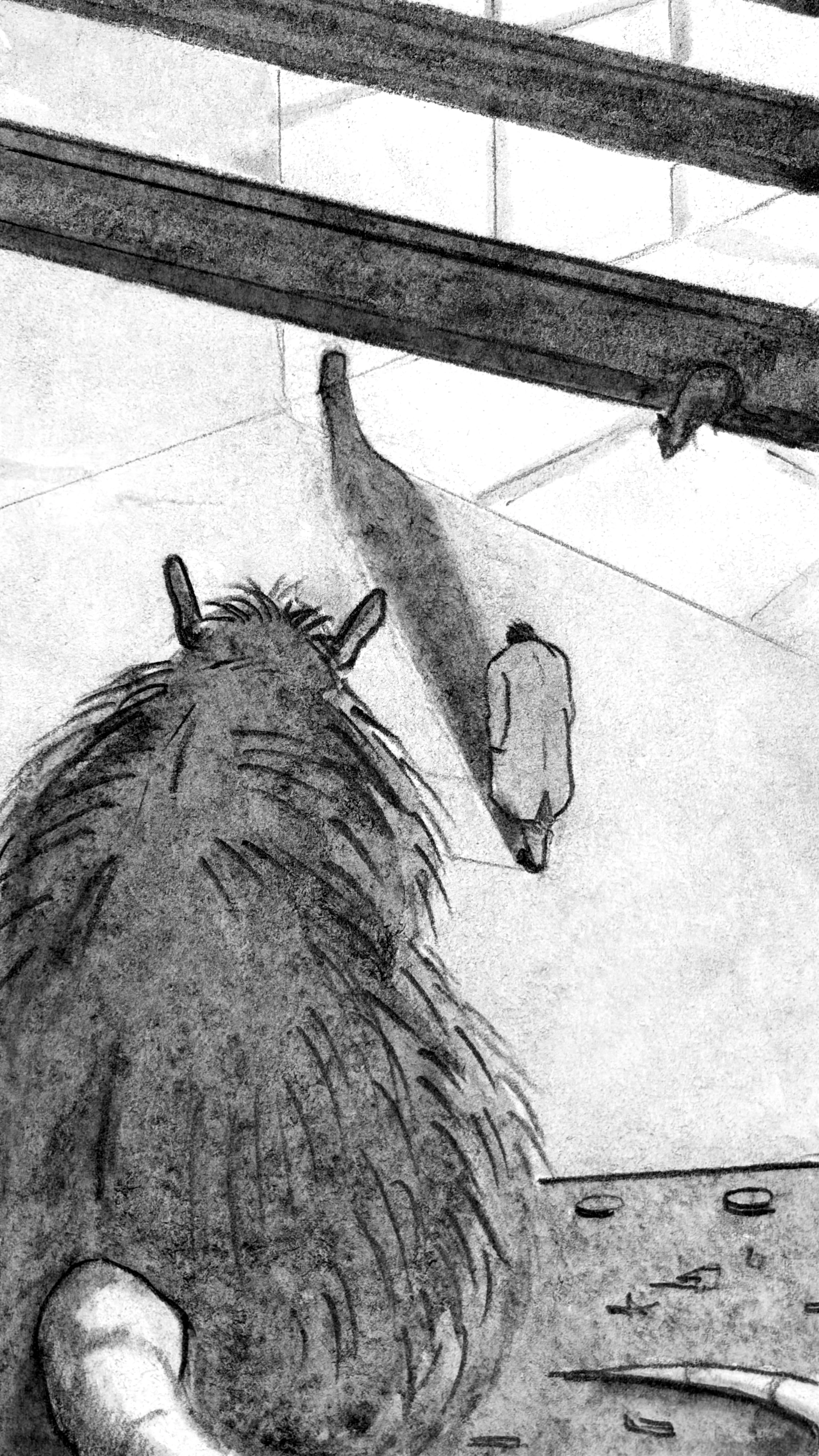From high up on a steel beam we look down at the figure. A big hairy rat is silhouetted in the foreground.