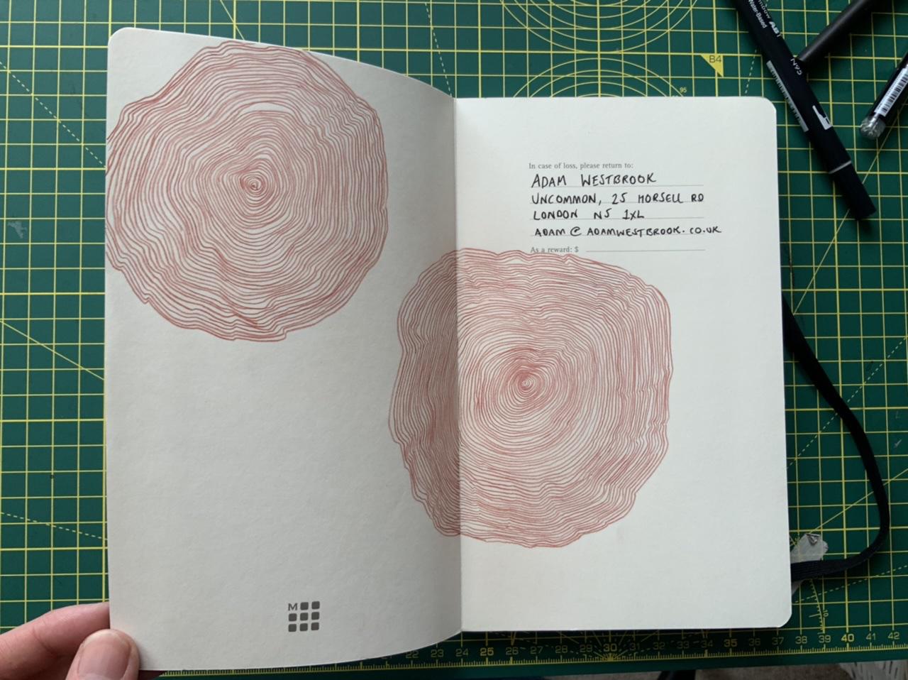 A page of hand drawn spirals from Adam Westbrook’s sketchbook