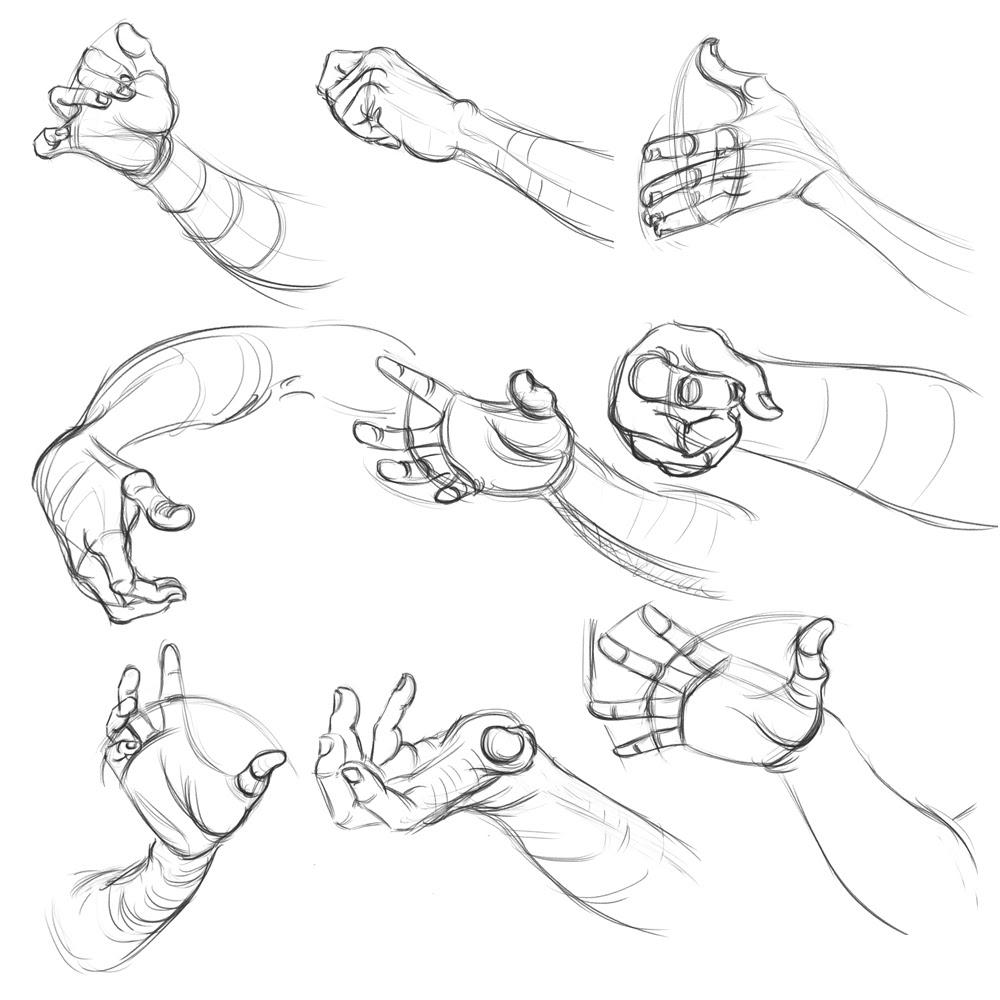 Digital sketches of hands in different positions by Ramya Hegde