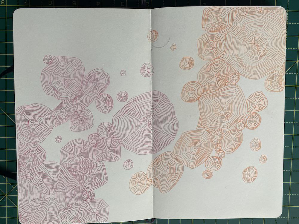 A page of spirals in Adam Westbrook’s sketchbook