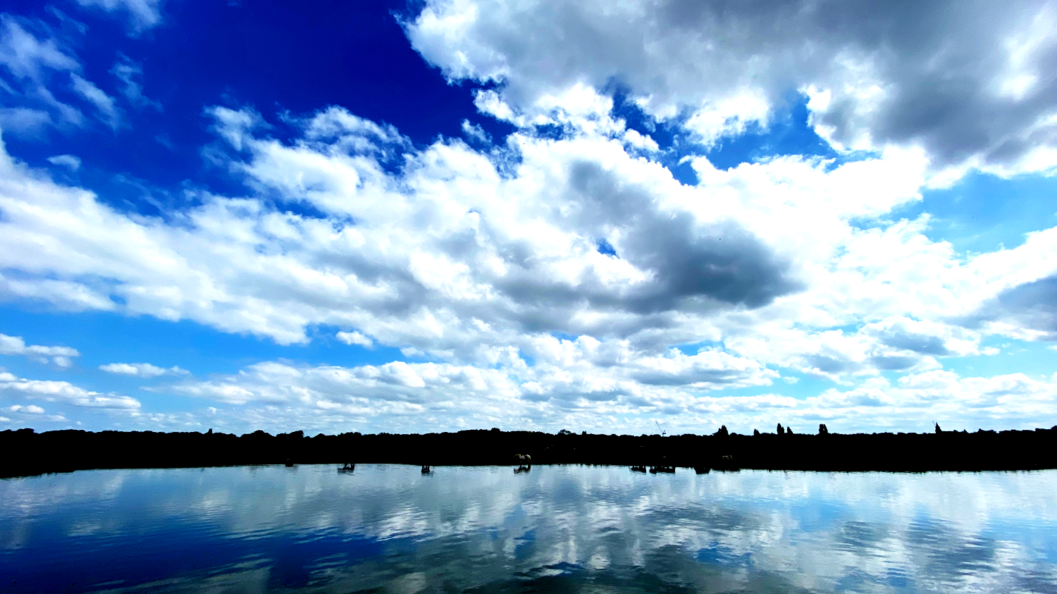 A photograph of the Thames River in England on a summers day in 2024