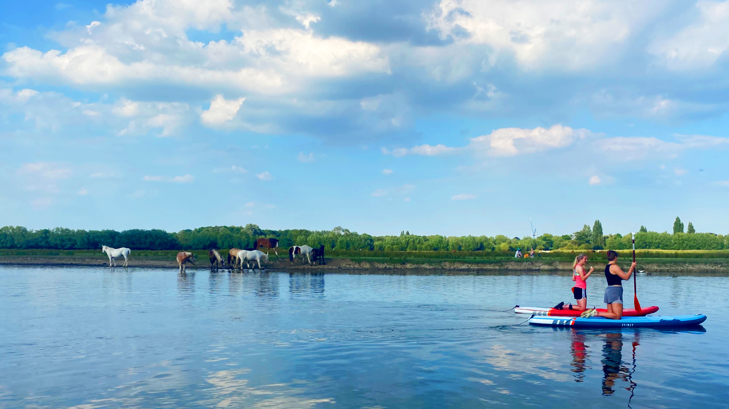 A photograph of the Thames River in England on a summers day in 2024