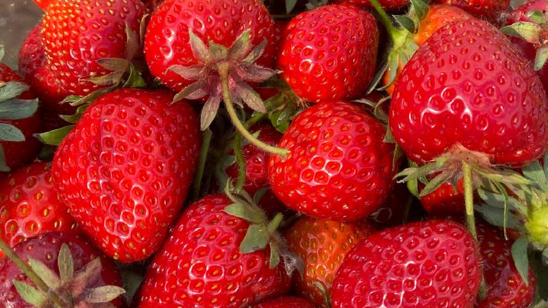 A preview image for the letter